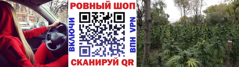 Что такое Афипский ГАШ Бошки Шишки Кодеин Мефедрон СК