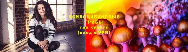 винт Баксан