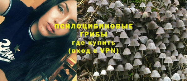 сатива Балабаново