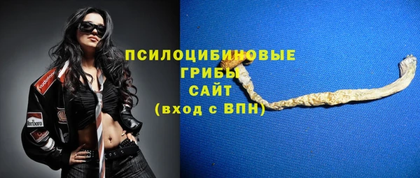 винт Баксан