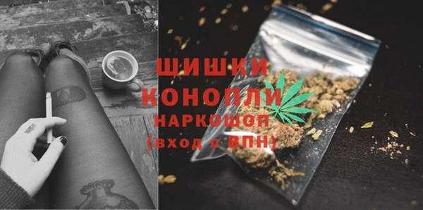 сатива Балабаново