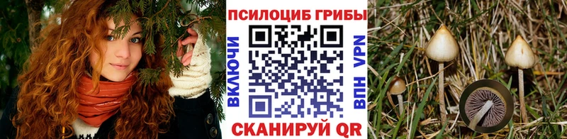 наркотики  Афипский  Галлюциногенные грибы мухоморы 